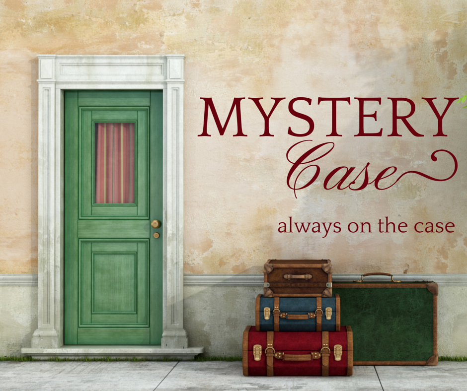 Agent Mystery Case is always on the case